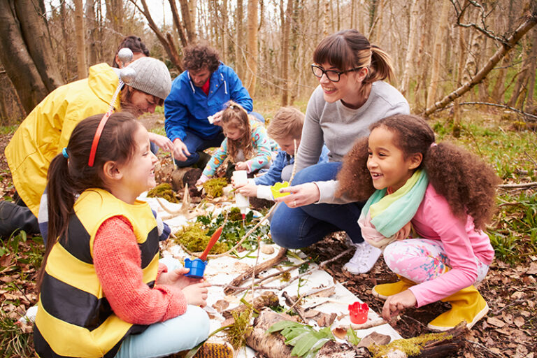 Einen Waldtag Gestalten Waldcampus einen-waldtag-gestalten-waldcampus