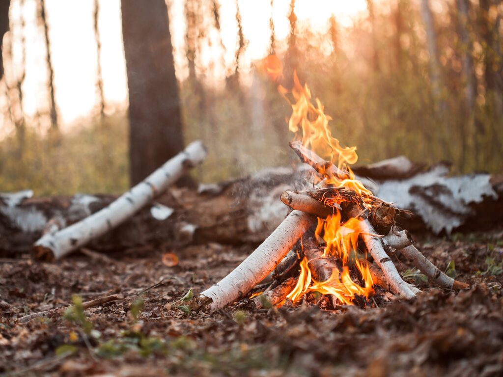 WaldCampus Survivalkurse