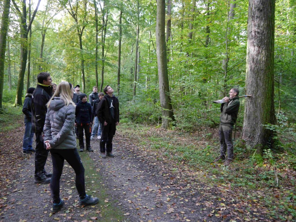 Grundlagen der Wald- und Holzkunde für Auszubildende